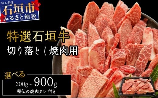 
                  ＜内容量が選べる！＞希少な特選石垣牛をご家庭で！！切り落とし焼肉用&焼肉タレ100ml×1本 | 沖縄 石垣 特選 牛 切り落とし 焼肉 タレ | IM-37/IM-38/IM-39
                