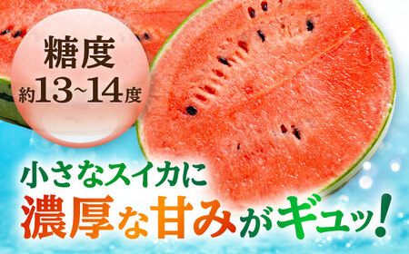 【先行予約】【数量限定】小玉 すいか 2玉 ひとりじめ 計4kg 【合同会社 福福堂】[AYAC046]