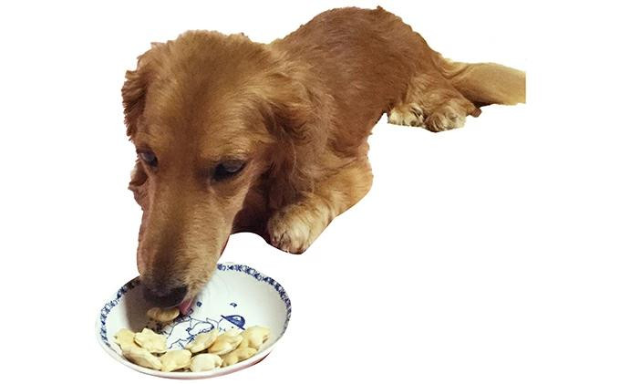 
[№5525-0864]【手作り】 犬のクッキー 紫いも 3袋セット 犬のおやつ ペット 北海道 伊達市
