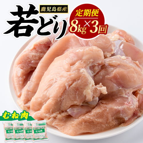 ＜定期便・全3回＞ 鹿児島県産 若鶏ムネ肉(計8kg・2kg×4袋) 鶏むね肉 小分け 鶏肉 むね肉 鶏肉 むね 【まつぼっくり】matu-1628