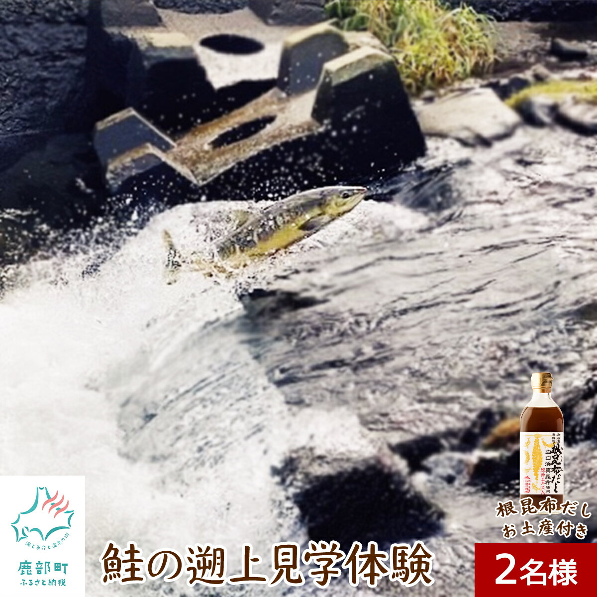 【ふるさと納税】 旅行 観光 体験 チケット 鮭の遡上見学体験 2名様分 根昆布だし お土産付き 道の駅しかべ間歇泉公園 入園券付き 鮭 遡上 見学 北海道 鹿部 送料無料