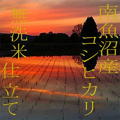 ふるさと納税 南魚沼市 【毎月定期便】《無洗米》南魚沼産コシヒカリ8kg 全3回 |  | 03