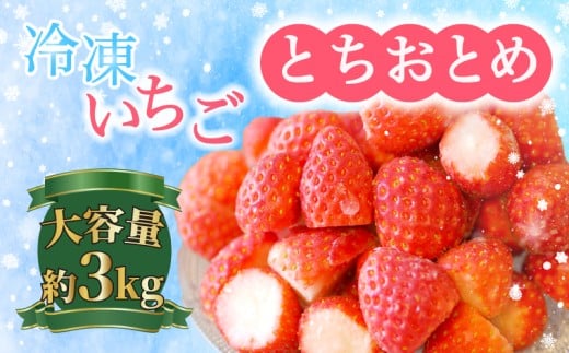 冷凍イチゴ 3kg （1kg × 3 ）とちおとめ いちご イチゴ 苺 フルーツ 果物 冷凍 冷凍いちご 冷凍イチゴ 冷凍苺 冷凍フルーツ カットフルーツ フルーツ 甘い あまい ジャム スムージー ヨーグルト 完熟 銚子産 千葉県 銚子市 萩谷園芸 有限会社萩谷園芸