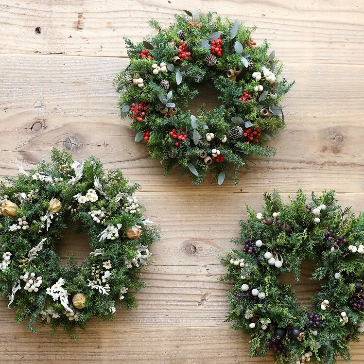 【ふるさと納税】【クリスマス限定！申込は11月30日まで】プリザーブドフラワー キャロル ＜Fine＞ ｜花 ギフト プレゼント アレンジ おしゃれ 母の日 誕生日 結婚祝い 退職祝い お祝い クリスマス