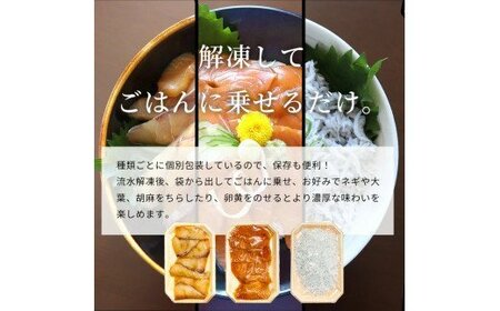 紀州湯浅醤油を使ったサーモンとカンパチの漬け＆釜揚げしらすの 海鮮丼 ３種セット×２ 計６００g【uot757A】