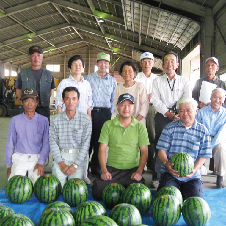 【先行予約】【2025年6月中旬より発送予定】茨城県産大玉すいか2玉（1玉6～7.5kg）JA水郷つくば【スイカ 西瓜 フルーツ 果物 くだもの 大玉 茨城県 阿見町】(20-04)