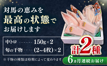 【全6回定期便】対馬産 本マグロ 中トロ 300g & 旬の干物 2種   [WAH010] マグロ まぐろ 本マグロ トロ 刺身 干物 