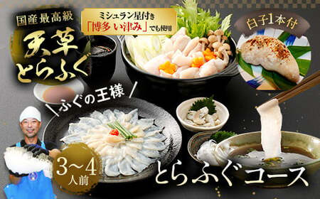 【ミシュラン星付きのプロが愛用】【着日指定不可】【数量限定】【白子付】大皿使用 国産最高級！天草とらふぐコース（3～4人前）【2026年12月下旬-2027年3月下旬発送予定】ふぐ刺し ふぐ鍋 フグ ふぐ刺身セット 河豚