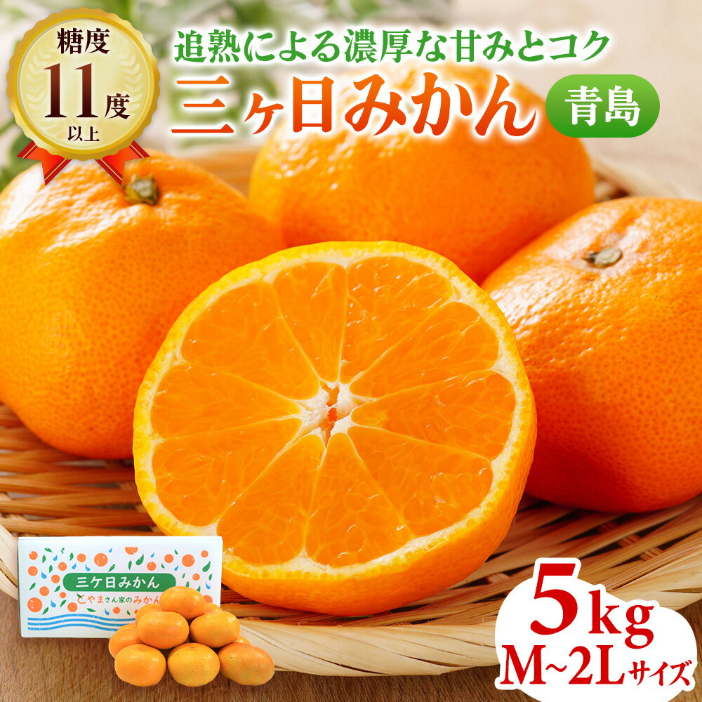 【ふるさと納税】青島みかん M～2Lサイズ サイズ混在 5kg 三ヶ日みかん 果物 くだもの フルーツ 旬の果物 旬のフルーツ みかん 蜜柑 ミカン 三ヶ日 青島 柑橘 柑橘類 静岡 静岡県 浜松市　お届け：2025年12月中旬～2026年2月上旬