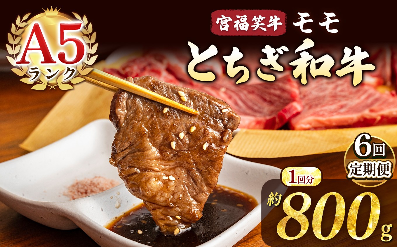 
            【定期便6回】宮福笑牛(とちぎ和牛) A5 モモ焼き肉 約400g  | 定期便 牛肉 和牛 焼き肉 やきにく 焼肉 焼肉用 モモ肉 もも肉 モモ もも 旨味 美味しい 肉 お肉 栃木県共通返礼品 栃木県 真岡市
          