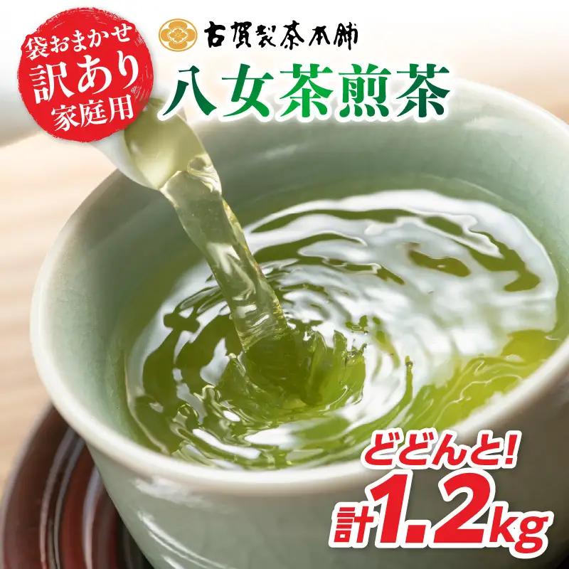 古賀製茶本舗 訳ありご家庭用八女茶煎茶 どどんと1.2キロ 八女茶 大容量 煎茶 072-097