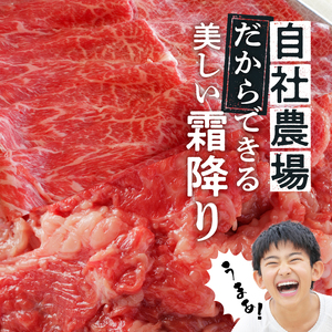 お試し ！ 厳選 ！ 国産 牛肉 切り落とし 400g 小分け 真空パック (200g×2) 小間切れ 牛丼 カレー 便利 お取り寄せ グルメ 食品 すき焼き しゃぶしゃぶ 鍋 焼肉 鉄板焼 おすすめ