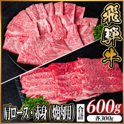 【ふるさと納税】レビューキャンペーン実施中!飛騨牛　厳選肩ロース・赤身(焼肉・BBQ用)600g　A4～A5　小分け【配送不可地域：離島】【1667154】