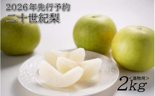 【2026年 先行予約】二十世紀梨 2kg 進物用｜鳥取 山根農園 梨 2026年収穫後 9月頃～順次発送予定※着日指定不可【41063】