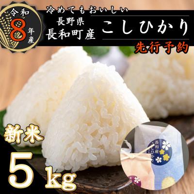 ふるさと納税 長和町 【先行予約】令和8年産新米こしひかり5キロ(kg)　信州産コシヒカリ　精白米　おにぎりにおすすめ