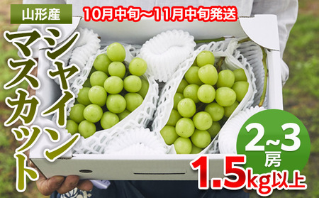 山形市産 シャインマスカット 秀1.5kg以上(2～3房)【後半】 FZ22-398
