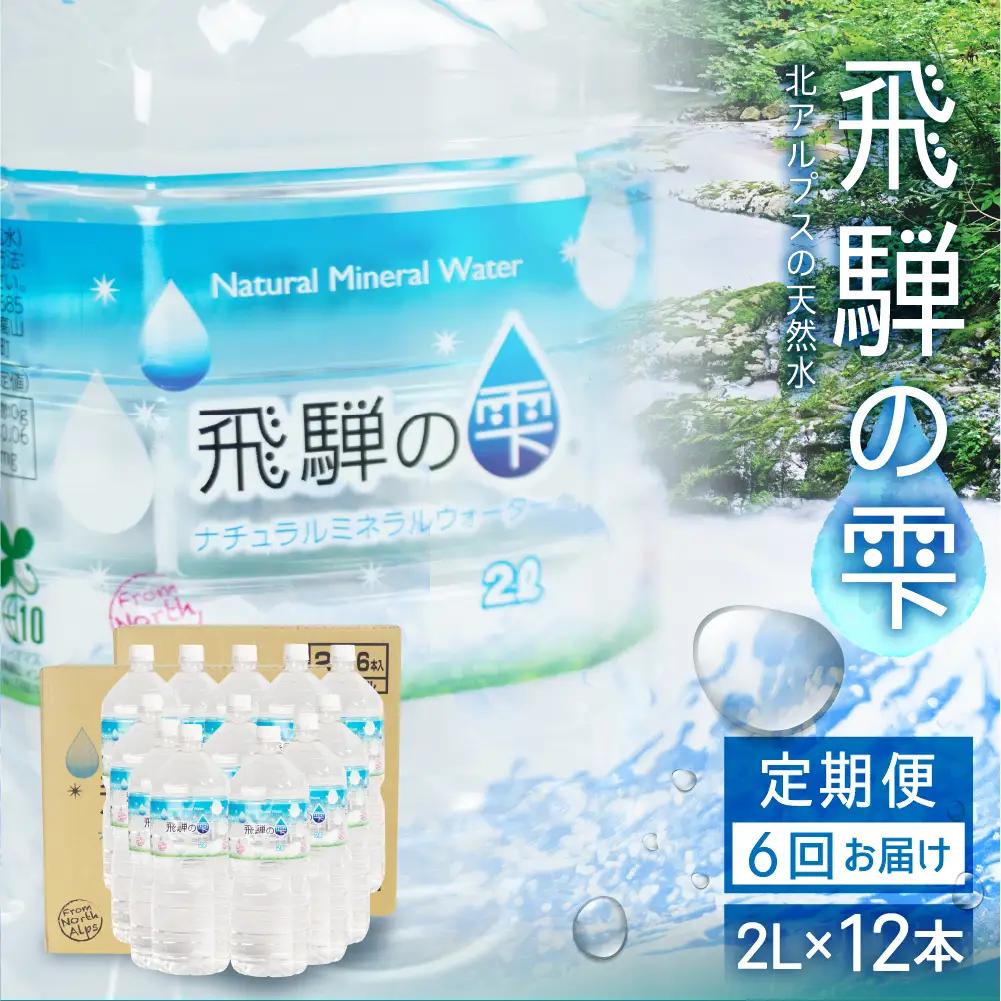 【6回 定期便】天然水 飛騨の雫 2L×12本 (2ケース)  | 天然水 ミネラルウォーター JS100