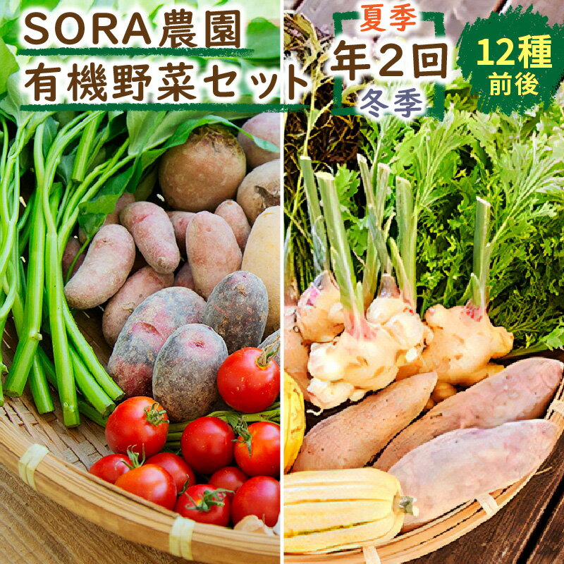 【ふるさと納税】高評価★5.0 高レビュー★【有機野菜／定期便2回】京都・京丹後 SORA農園 有機野菜 セット 年2回 （夏季・冬季） お届け　12種類前後 オーガニック野菜 詰め合わせ 栽培期間中農薬不使用 ふるさと納税 オーガニック ふるさと納税 有機野菜
