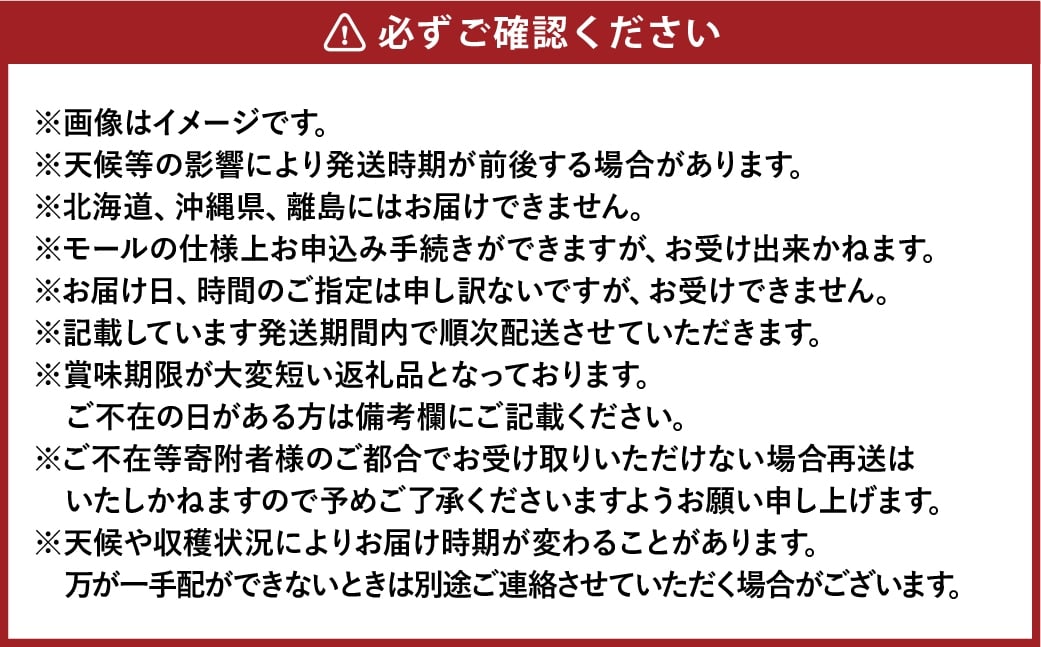 ご家庭用シャインマスカット晴王3～6房 計約1.5kg