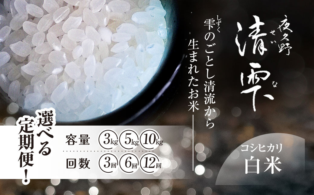 
            ＜令和7年9月末より発送予定！＞　★容量と回数が選べる！★　京都夜久野産　清雫（せいな）　コシヒカリ【白米】[3kg～10kg]×[3ヵ月～12ヵ月]　令和7年度産 先行 定期便  選べる 容量 回数 白米 精米 夜久野 京都 京都府 福知山 FCDB-VTH
          