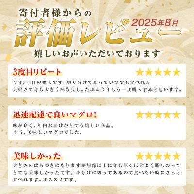 ふるさと納税 田野町 【四国一小さなまち】天然マグロ切り落とし　1kg(冷凍) |  | 02