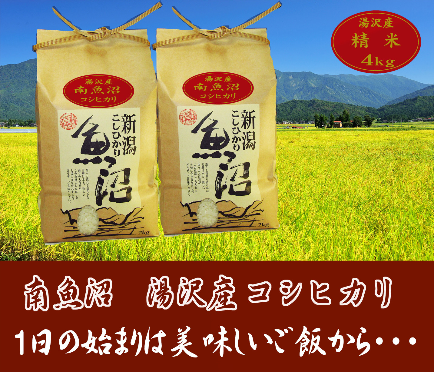 
令和6年産 【湯沢産コシヒカリ】＜精米＞（白米）4kg（2kg×2袋）精米したてのお米をお届け
