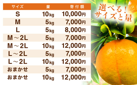 【先行予約】訳ありポンカン Mサイズ 5kg N-08【布富FARM】