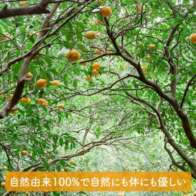 ふるさと納税 糸島市 【全3回定期便】【植物 由来】万能 濃縮 甘夏 みかん 洗剤/ わかまつ農園 [AHB017] |  | 03