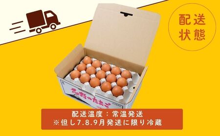 富士山の恵“忍野のたまご“‐コクの赤玉‐30個入