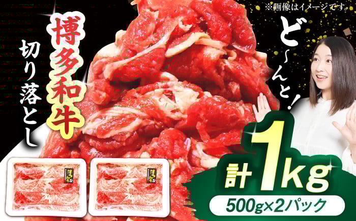 
            博多和牛切り落とし 計1kg（500g×2パック） にく 牛肉 すき焼き 小分け 国産 冷凍 薄切り 広川町 / 株式会社POWER EAST CONNECTION [AFAZ004]
          