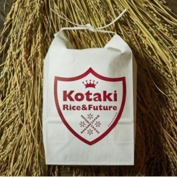 【令和7年産米先行予約】【ふるさと納税】希少米 コタキホワイト 5kg（令和7年産）