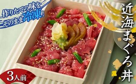 作りたての味をそのまま冷凍！豪華近海まぐろ丼3人前 まぐろ まぐろ丼 海の幸 魚介 海産物 食品 冷凍 加工品 ちらし寿司 ひな祭り F7X-0942