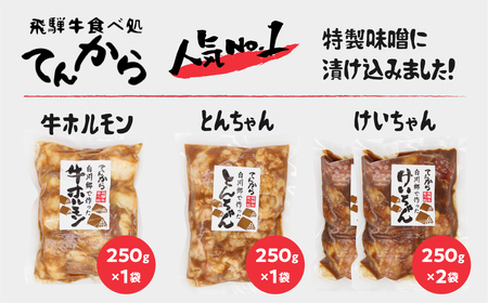 白川郷 自家製 ホルモン けいちゃん とんちゃん セット 計1kg（250g×3種4個セット） 国産牛 豚 鶏肉 郷土料理 味噌漬け 味付き BBQ バーベキュー 自家製 簡易梱包 訳あり 訳アリ て