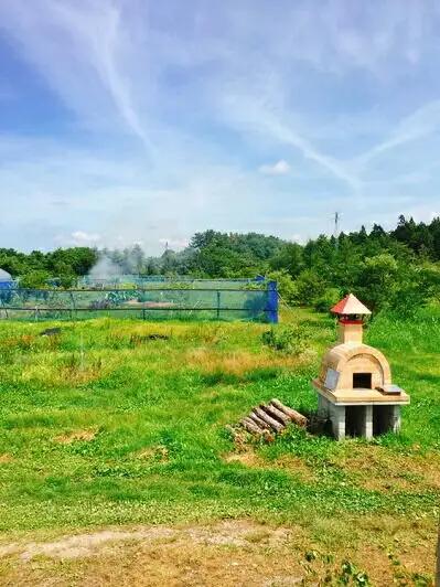 ラズベリータルト 自家栽培 １ホール(直径19cm)