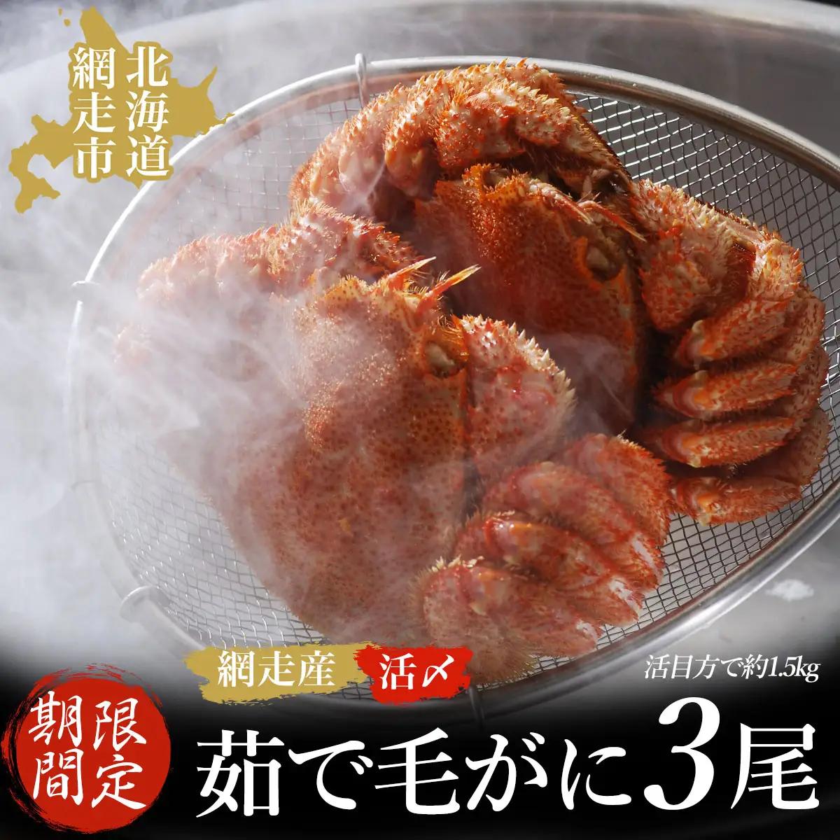 【先行予約 期間限定】＜網走産＞流氷海明け活〆茹で毛がに 3尾セット【2027年4月～順次発送開始予定】 ABAO1058