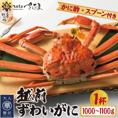ふるさと納税 越前町 浜茹で越前ずわい約1000〜1100g　1杯　かに酢&amp;かにスプーン付き