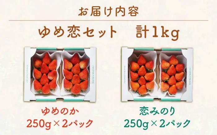 【先行予約】いちごセット（ゆめのか・恋みのり） [JEO001] 