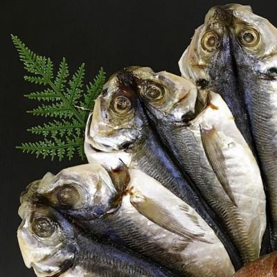 ふるさと納税 松浦市 【発送月固定定期便】 真あじみりん干し・干物詰合せ 全6回 |  | 01
