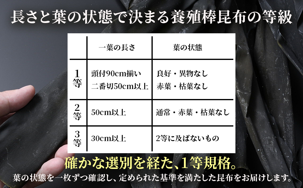 〈予約受付〉1等級 乾燥昆布 1kg 【上磯郡漁業協同組合】 知内 出汁 だし 北海道 コンブ こんぶ