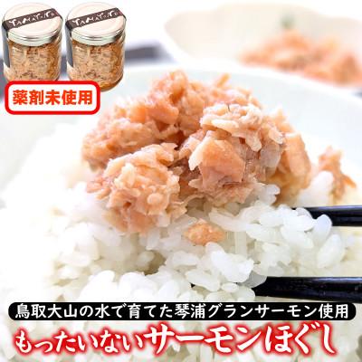 ふるさと納税 琴浦町 訳あり もったいないサーモンほぐし身 2本 国産 鳥取琴浦グランサーモン 無添加・無投薬養殖で安心