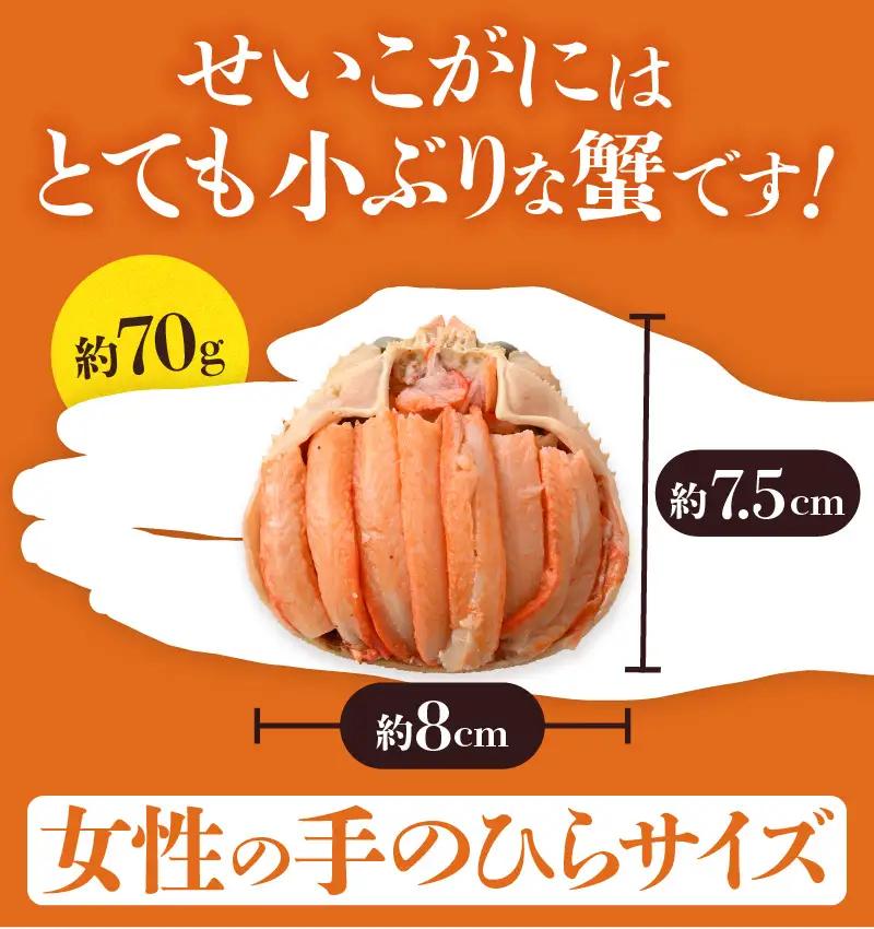 【先行予約】日本海産 せいこがに甲羅盛り 約70g×6杯 / 期間限定 冷凍 蟹 カニ 便利 身出し 小分け ビール おつまみ メス 福井 福井県 お取り寄せ むき身 ポーション 甲羅盛 脚 ※202