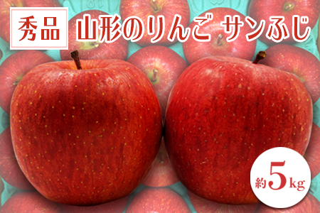 【2025年11月～12月発送分先行受付】「秀品」山形のりんご（サンふじ）約5kg_H081(R7)