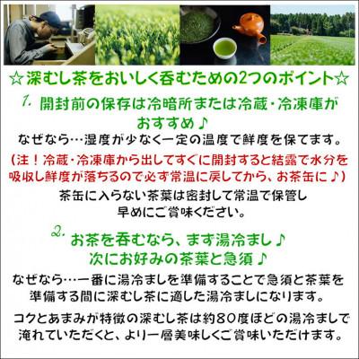 ふるさと納税 南九州市 【令和8年産 新茶予約 自宅用】知覧茶園の特撰深むし茶 1kg(200g×5本セット) |  | 02