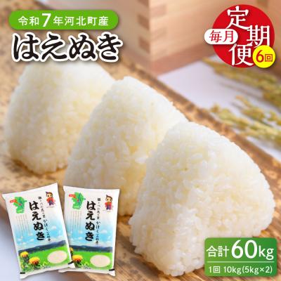 ふるさと納税 河北町 【令和7年産米】2026年2月中旬開始 はえぬき60kg(10kg×6ヶ月)定期便 山形県産