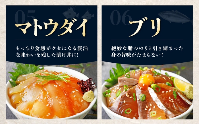 漬け丼 【選べる定期便 3ヶ月〜12ヶ月】漬け丼 3種×2パック 計6食セット 漬け丼 づけどん ヅケドン づけ丼 ヅケ丼