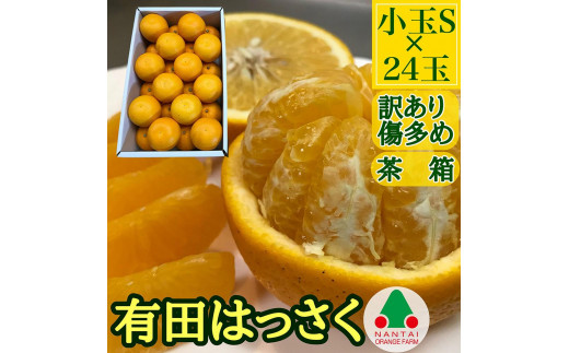 
                  訳あり 傷多め 手詰め 有田 はっさく 小玉 S サイズ × 24玉入 南泰園 みかん
                