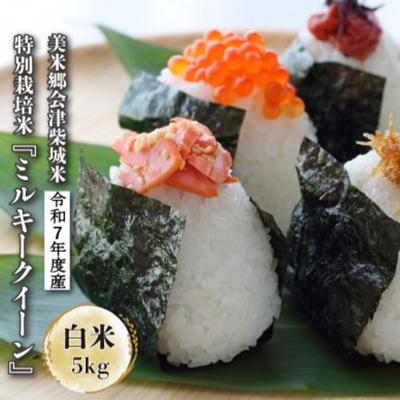 ふるさと納税 喜多方市 令和7年度産　美米郷会津柴城米　特別栽培米ミルキークイーン　白米　5kg