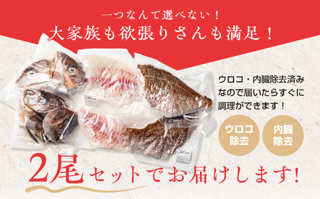 （冷蔵）【２尾】ジュワっと旨み溢れるブランド真鯛 スキンレス 皮あり ／ はさま あなたに逢い鯛。 鯛 真鯛 刺身 しゃぶしゃぶ 鯛めし 三重県 南伊勢町 伊勢志摩