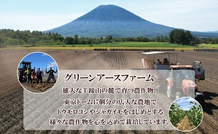【 2026年 出荷 先行予約 】 北海道 倶知安 産 じゃがいも とうや L サイズ 10kg 馬鈴薯 いも 芋 グリーンアースファーム 農家 直送 野菜 産地直送