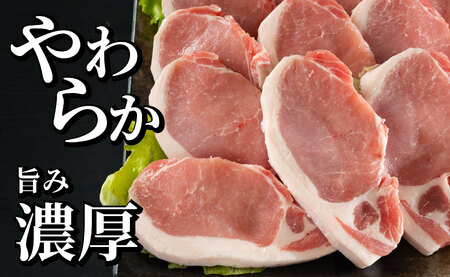長崎県産豚 ロースとんかつ用計1kg (100g×5枚×2)